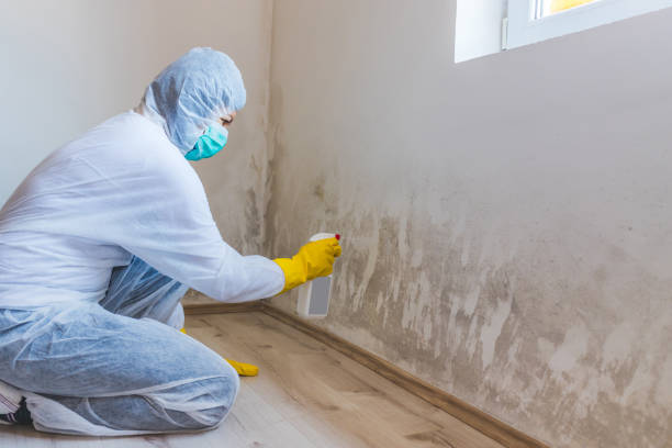 Licensed Commercial Mold Remediation service in Troutdale, OR - WQB Mold Removal