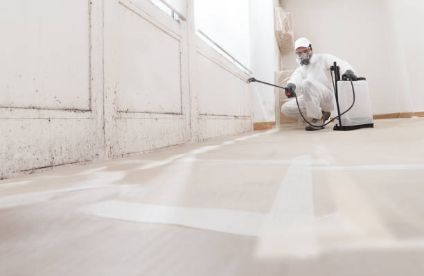 24/7 Emergency Commercial Mold Remediation experts in Troutdale, OR