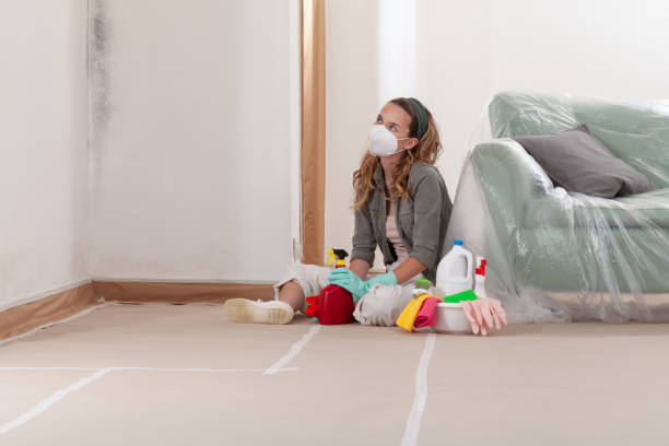 Reliable Commercial Mold Remediation contractor in Troutdale, OR by WQB Mold Removal