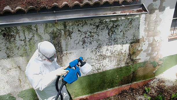Top rated local Commercial Mold Remediation specialists in Troutdale, OR